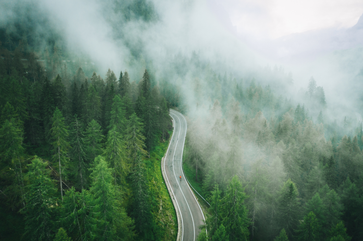 a road that is going through a foggy forest