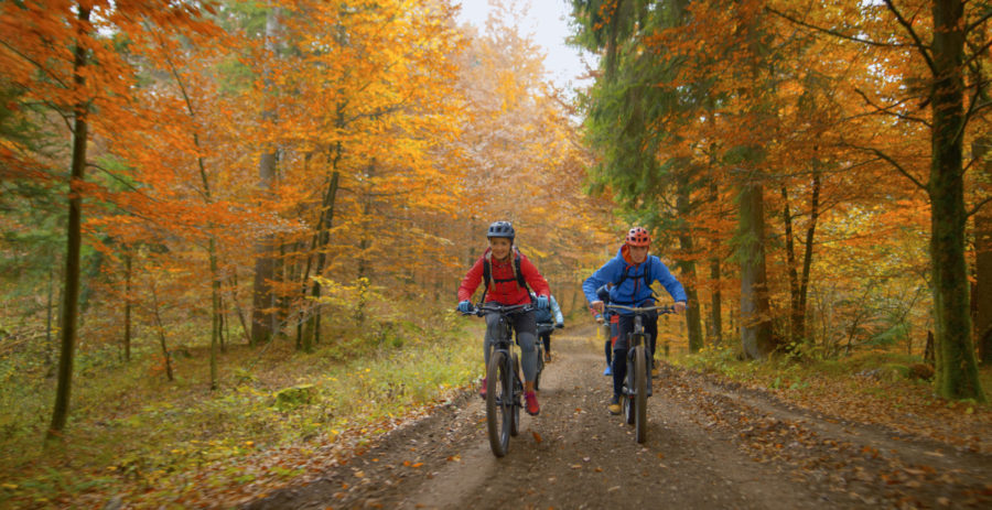 two people riding bikes down a dirt road in the woods